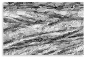 Feminine Mystique (bw)