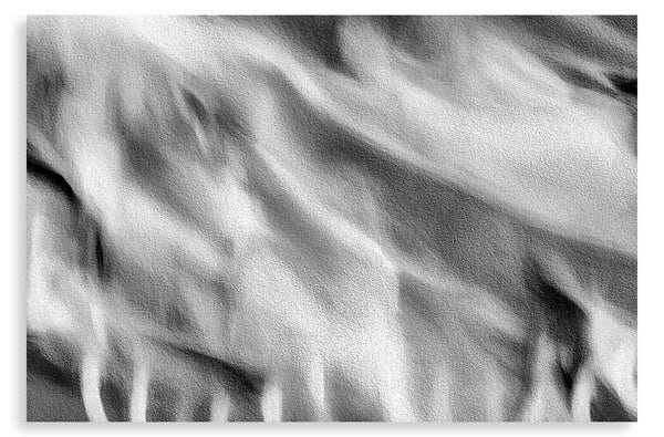 Flamboyant Sway (bw)