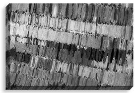 Pragmatic Nature (bw)