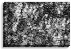 Astral Apparition (bw)