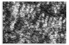 Astral Apparition (bw)