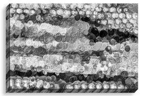 Festive Breadth (bw)