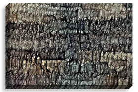 Labyrinthine Thought