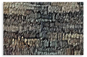 Labyrinthine Thought