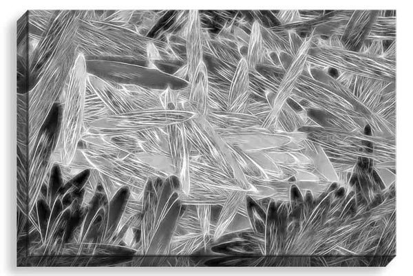 Feisty Fowl Dan (bw)