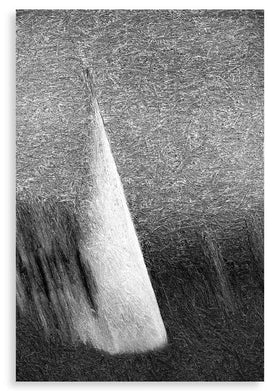 Nautical Poetry (bw)