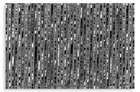 Modular Structure (bw)